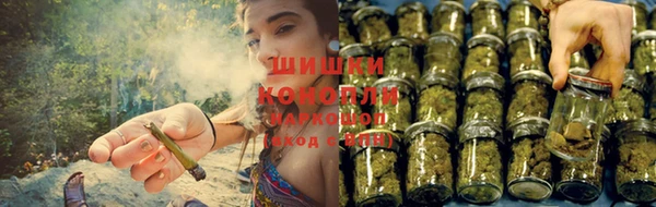 гашиш Аркадак
