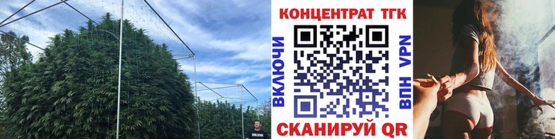 закладка  Тимашёвск  Дистиллят ТГК концентрат 